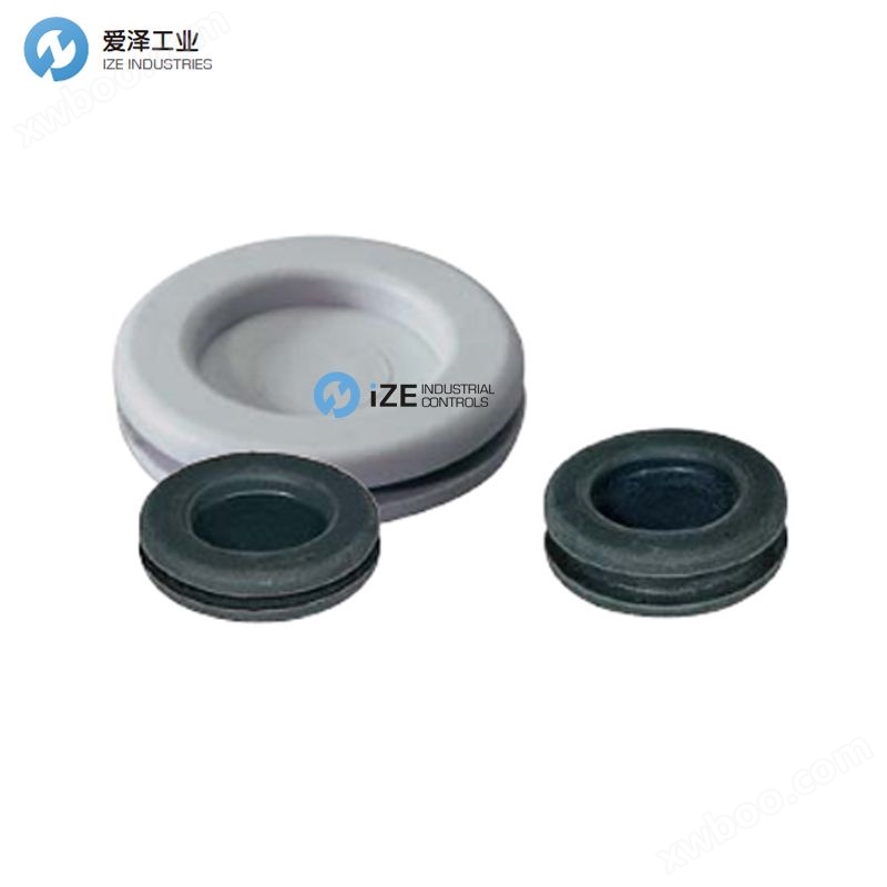<strong><strong><strong>SES-HELAVIA密封圈DG M2</strong></strong></strong>5  爱泽工业 ize-industries.jpg